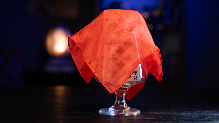 Parlor Rising Card by Murphy's Magic