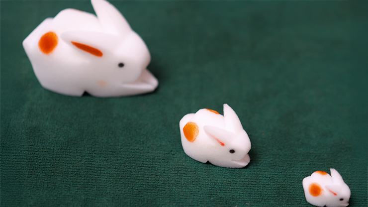 The Bunnies! 3D Rabbits (Parents, Kids & Grandpa)