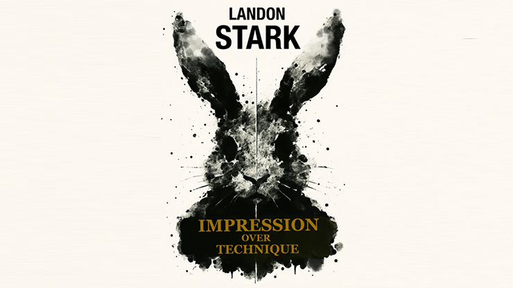 Impression Over Technique by Landon Stark eBook DOWNLOAD