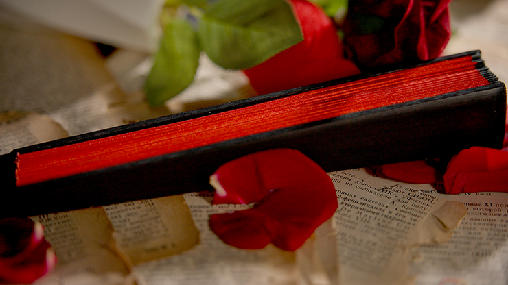 The Butterfly by K.Pen & TCC Magic