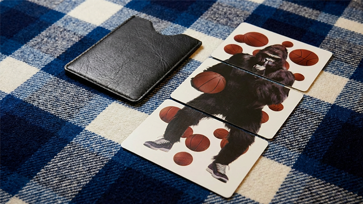 A.P.E.- A Perception Experiment by Craig Petty