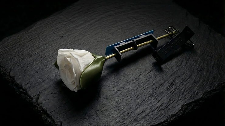 Project H: Rose Holder by J.S.M. Studio & Bacon Magic