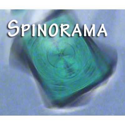 Spinorama by William Lee video DOWNLOAD