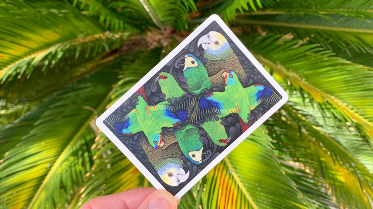 Bicycle Parrot Playing Cards