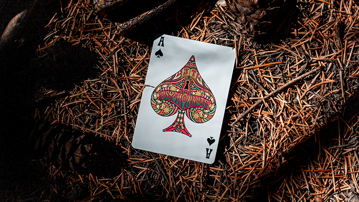 Psychonauts Playing Cards by Joker and the Thief